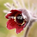 결혼정보원앙
