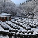 세상목장 이미지