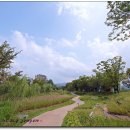 다산생태공원 이미지