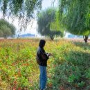 지상철 공단역 이미지