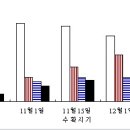 참다래 수확 이미지