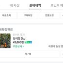 레드향 민박 이미지