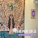 파주 야당 카페｜신점 타로카페 마고 내돈내산 후기