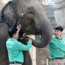 하오건강랜드 이미지