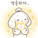 경성시장 가산점 이미지