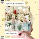 폴스베이비 성장앨범 200일 촬영 후기 강남 아기사진 삼성동 베이비스튜디오