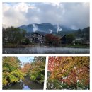 이른아침호숫가 | 후쿠오카 유후인 여행 필수코스, 긴린코호수 물안개 보러간 후기