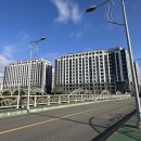 힐링요리공작소 | 속초 숙소 체스터톤스 속초 공용주방 이용 수영장 후기