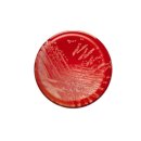 (주)영양이노베이션 이미지