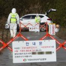 천안메추리농장 이미지