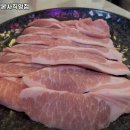 아라네 본사직영점