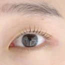 시월 | [리뷰] 월평역 속눈썹펌 스튜디오 시월 대만족 후기