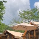 하늘바라기 글램핑 이미지