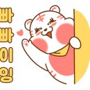 웰빙한방족발 이미지