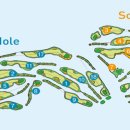 솔라고CC 라고 이미지