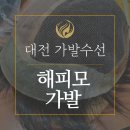 대전수선