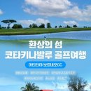알파골프 이미지