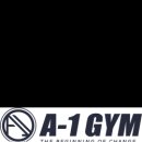 에이원짐(A-1 Gym)