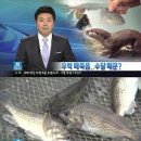 수달횟집 이미지