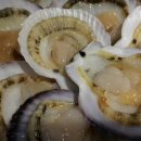 가리비세상 이미지