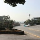 제주 올레길 7코스 이미지