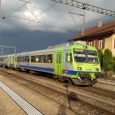 골든라인 이미지