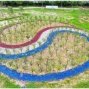 쌍암동산 이미지