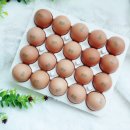 이노바이오팜 이미지