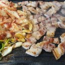 한라산똥돼지 이미지