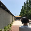 홍성파머스농원 | 고창 상하농원 파머스빌리지 수영장 후기 🐳한마리 고래처럼~