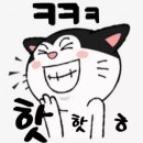 작동목장 티스토리
