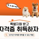 희망애견샵 이미지