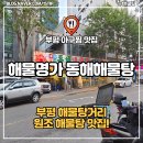 부평 아구찜 맛집 해물명가 동해해물탕 방문기