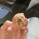 청년카페'호시절' | [진천수영장 쵝오 · 진천 왕가탕후루 · 진천터미널 호두과자 호시절]