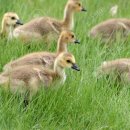 참나무골농장 이미지