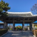 대구 나들이 이미지