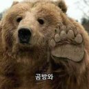 뚝섬로1길 이미지