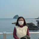 코끼리관광주 이미지