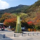 군밤천국 이미지