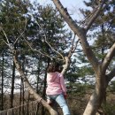 우리두리캠핑장 이미지