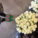 엠플랫 이미지