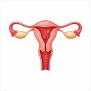 인앤인내과의원 | FTM 자궁수술, 특히 어려웠던 케이스...