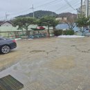 채남칼국수앞 이미지