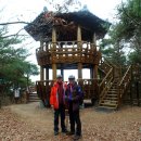 입화산참살이숲 이미지