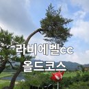 라비에벨 | 오랜만에 가도 좋은 라비에벨cc 라운딩 후기
