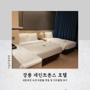 오르골 클레이 | 강릉 세인트존스 호텔 오션 트윈룸 및 키즈클럽 상세 후기