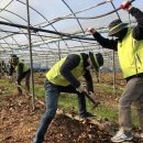 일죽농협 이미지