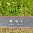 대구 여행계획에 포함시키면 좋은 장소 10 이미지