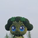활짝 핀 꽃들의 향연 속으로! 고양국제꽃박람회 주말 대중교통 이용 후기 🌸🌼🌷