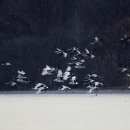 김신환동물병원 이미지